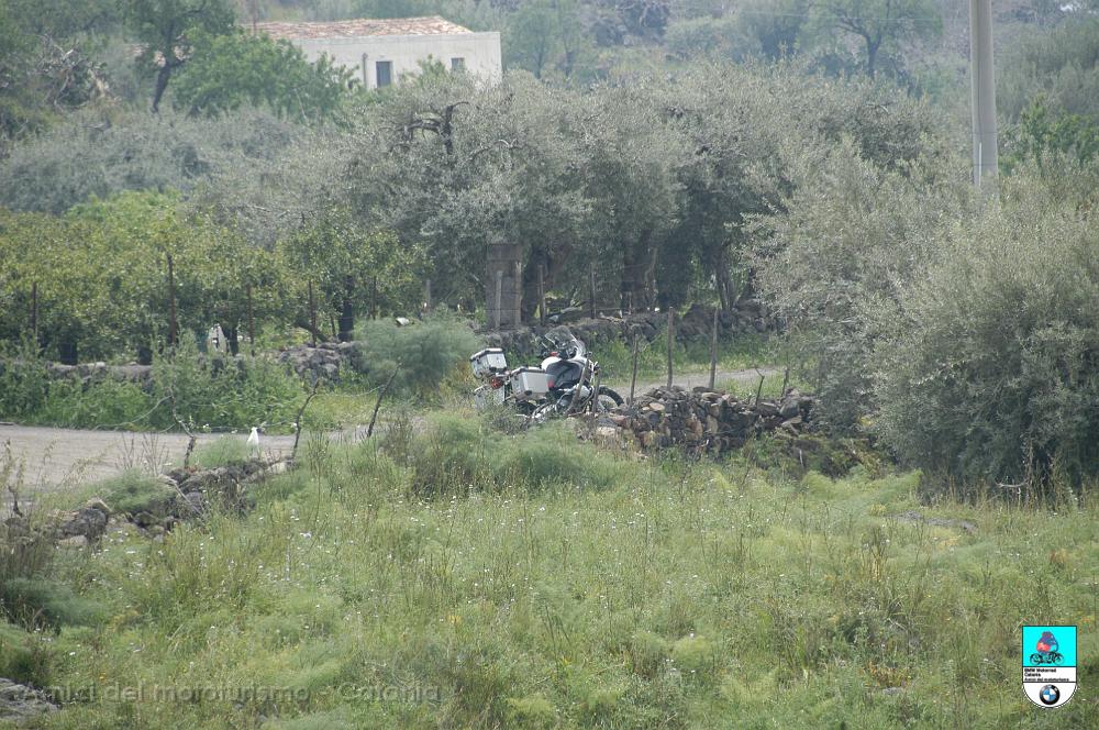 Carcaci_203.JPG