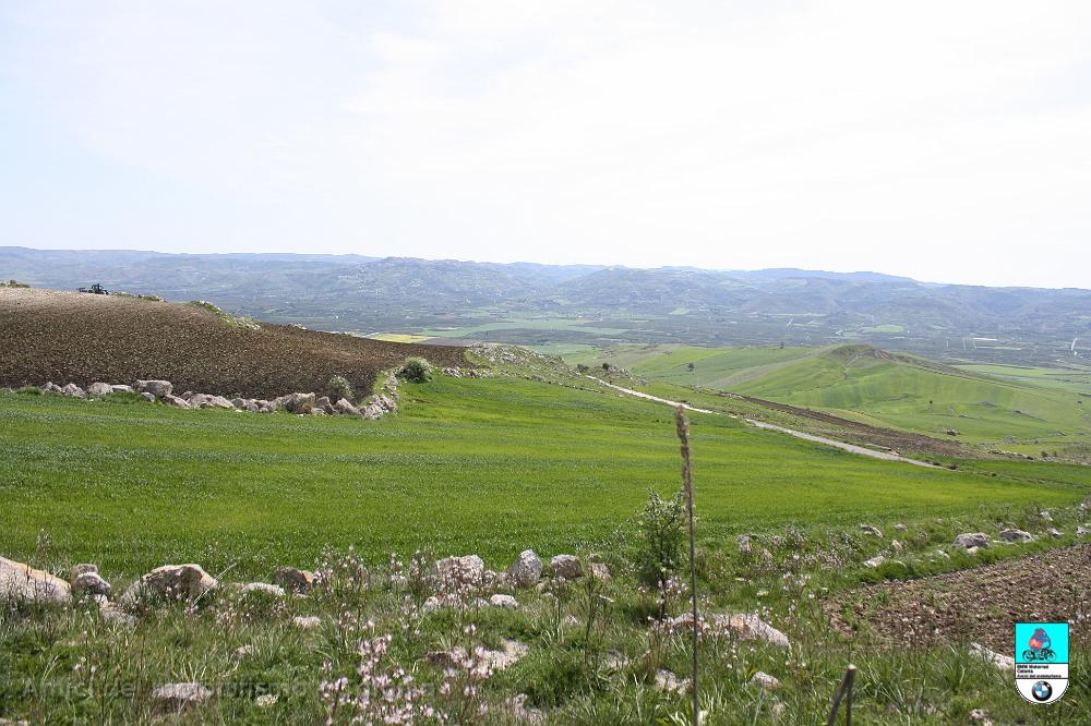mongialino_007.JPG