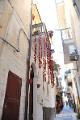 puglia_2449